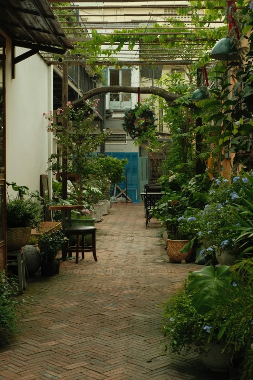 the interior of a home and garden area with a paved pathway and lots of plants