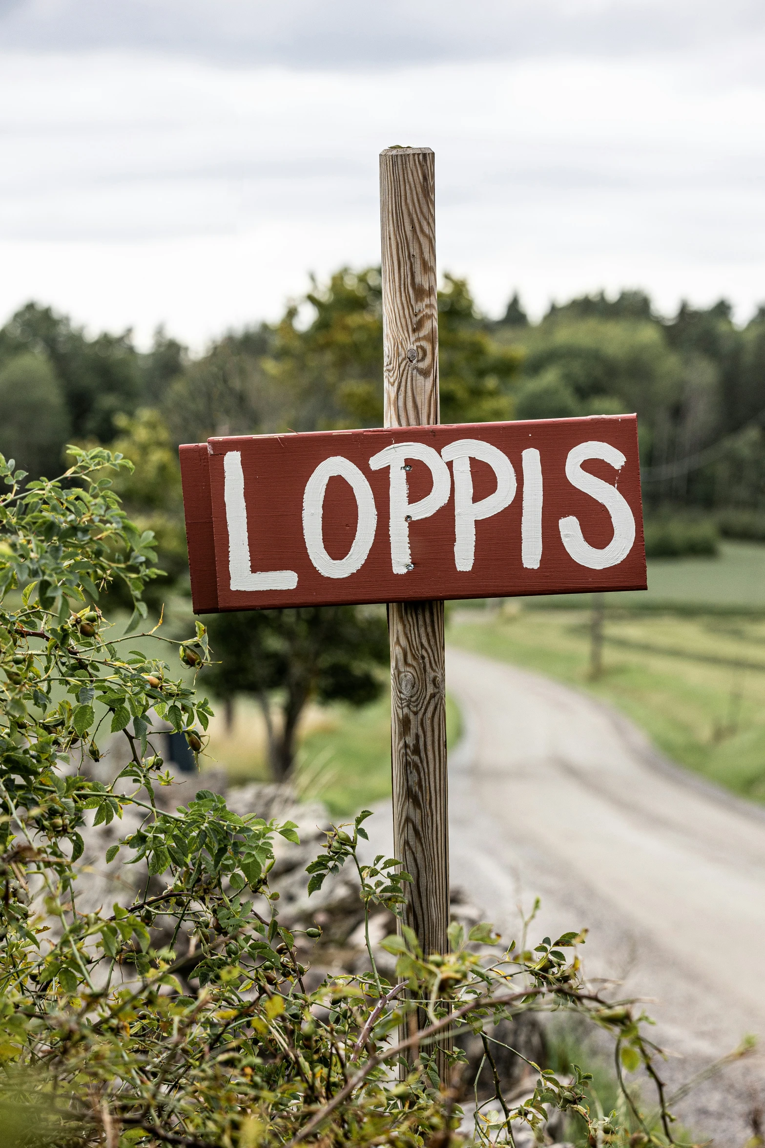 a wooden sign that says loopps near a road