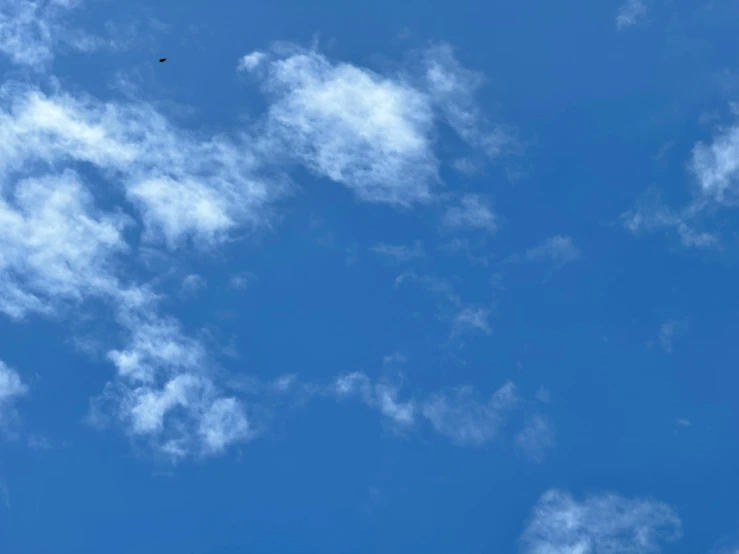 a lone bird flying high up in the blue sky