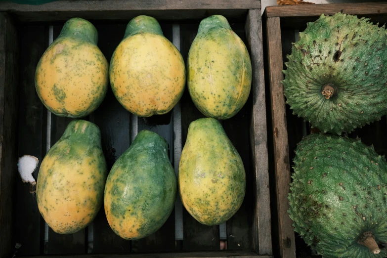 crates are filled with different kinds of exotic fruit