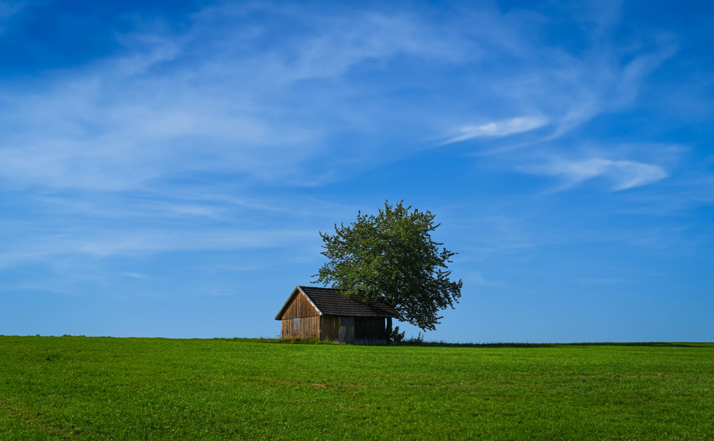 this po of a small house and tree is truly peaceful