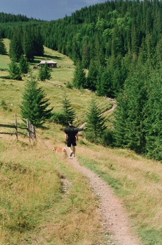 a man walks a dog in the field by a wooded hill