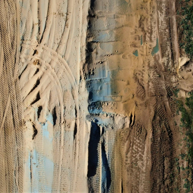 some dirt and sand with lots of trees