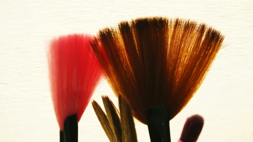 three brushes that are sitting in some brown and pink stuff