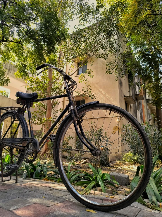 bicycle leaning against fence and trees outside home