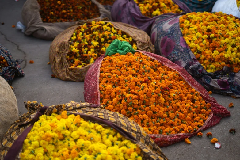 bags filled with lots of flowers sitting on the ground