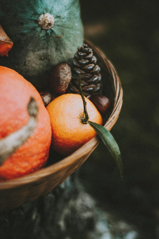 a wooden bowl of fruit with pine cones on a table