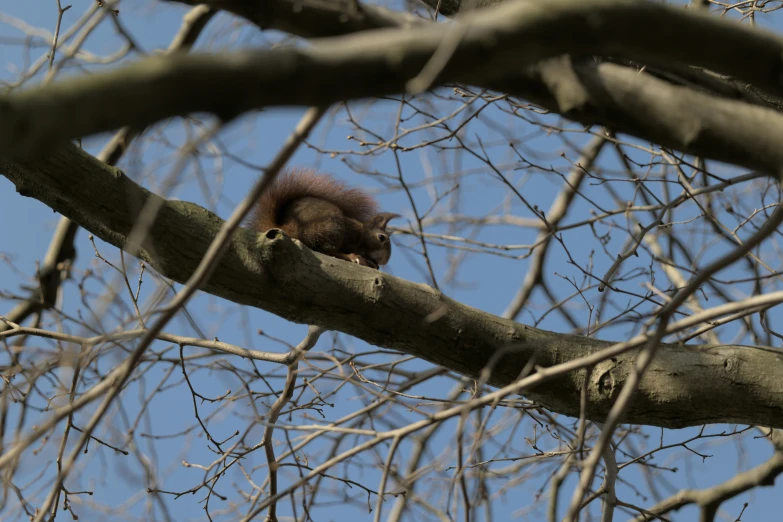 a small bird is standing on a nch