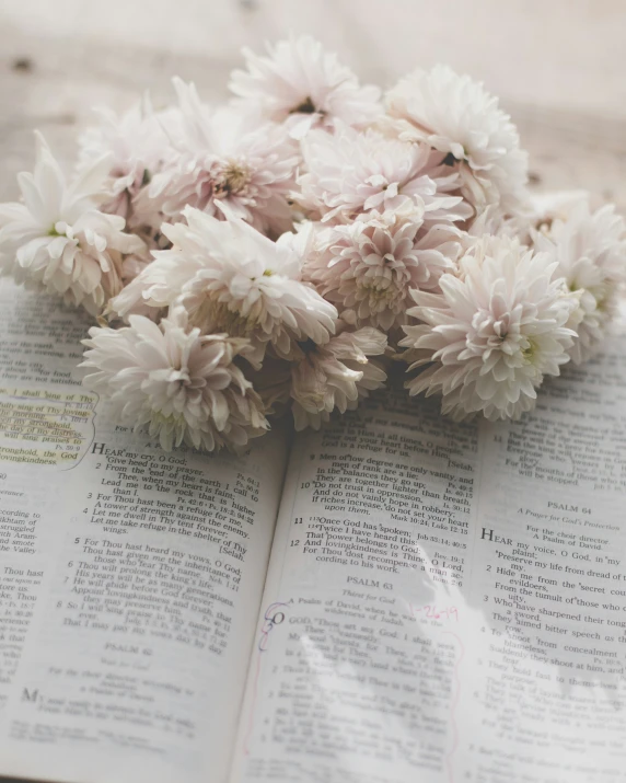 flower arrangement placed on open book with writing underneath