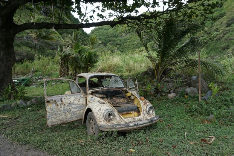 the old automobile is rusting away and there is some grass