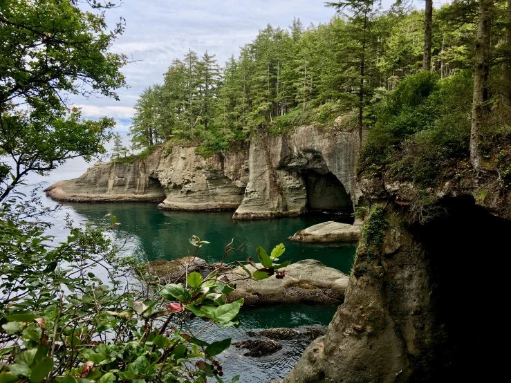 some water surrounded by trees and a cave