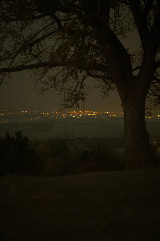 night lights seen from an overlook