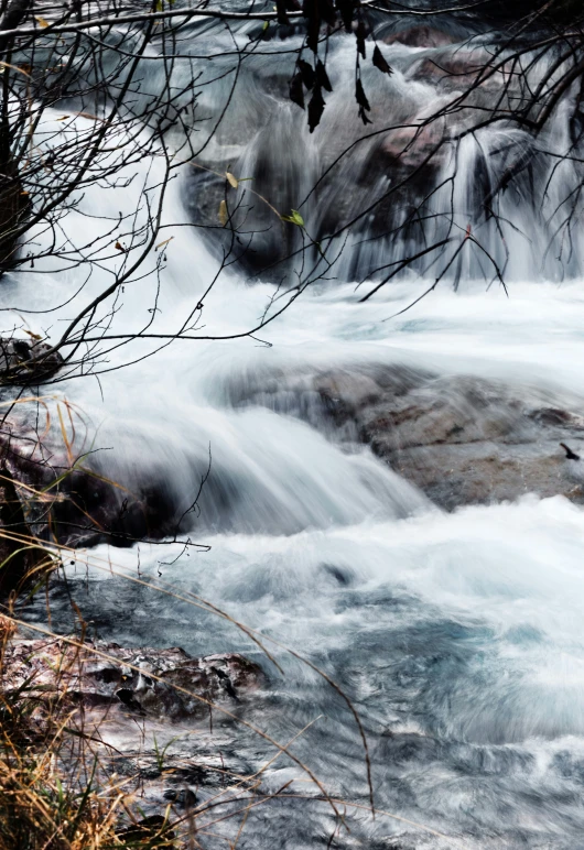 an icy stream flowing through a forest filled with trees